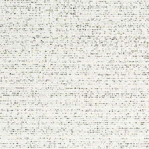 Adria Onyx W8796 by Thibaut Fabric