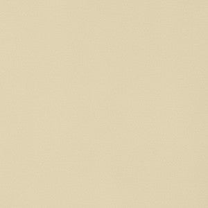 Lyra Velvet Suede W8908 by Thibaut Fabric