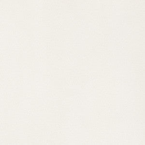 Lyra Velvet Oyster W8910 by Thibaut Fabric