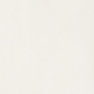 Lyra Velvet Oyster W8910 by Thibaut Fabric