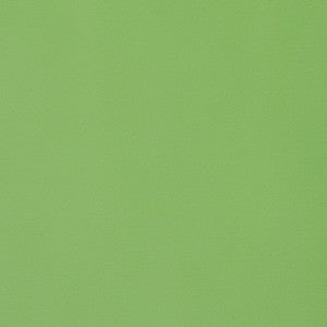 Lyra Velvet Grass W8924 by Thibaut Fabric