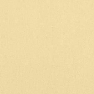 Alto Velvet Straw W8936 by Thibaut Fabric