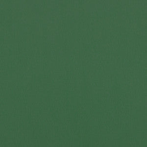 Alto Velvet Holly W8949 by Thibaut Fabric