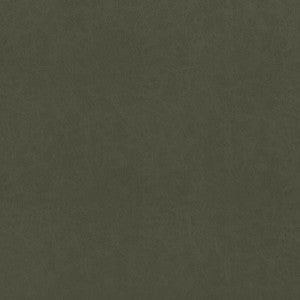 Cordoba Olive W9005 by Thibaut Fabric
