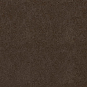 Cordoba Coffee W9006 by Thibaut Fabric