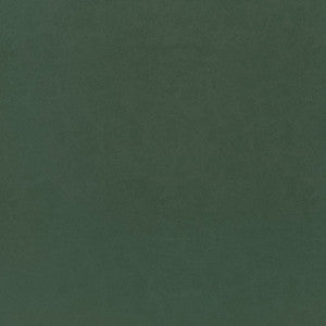 Cordoba Shamrock W9007 by Thibaut Fabric