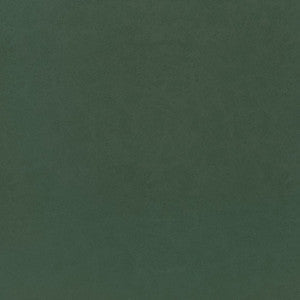 Cordoba Shamrock W9007 by Thibaut Fabric
