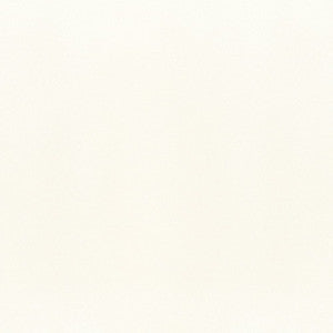 Salta Ivory W9013 by Thibaut Fabric