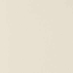 Salta Putty W9015 by Thibaut Fabric