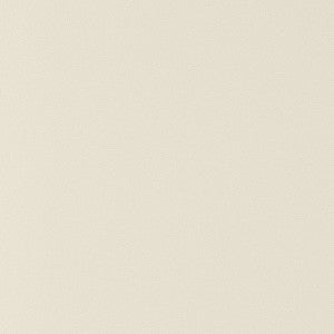 Salta Putty W9015 by Thibaut Fabric