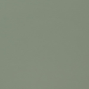 Salta Jade W9025 by Thibaut Fabric