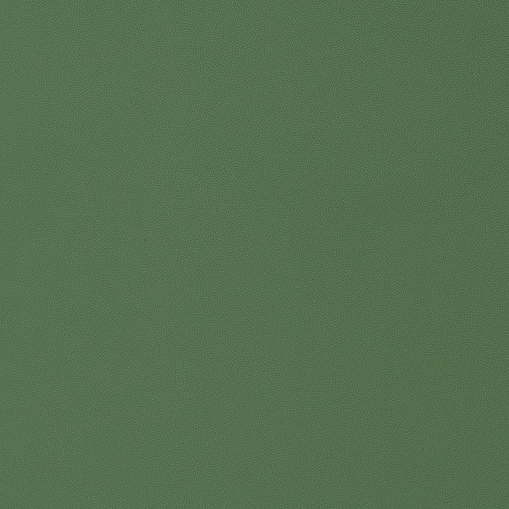 Salta Kelly W9027 by Thibaut Fabric Thibaut Fabric Salta Kelly W9027Fabric U.S.A </p><p>Repeat: H: , V: 0 (0.00 cm) 54 in  (137.16 cm) - Fabric Carolina -