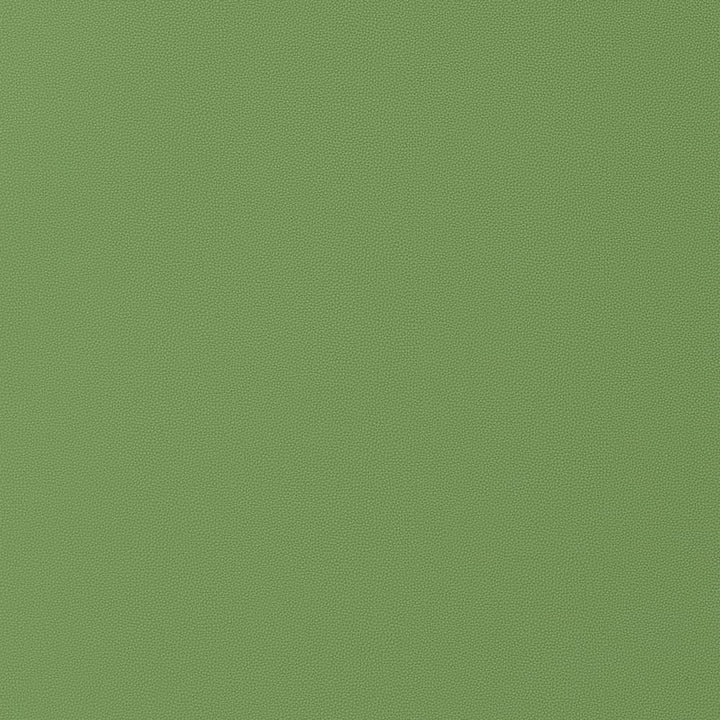 Salta Kiwi W9028 by Thibaut Fabric Thibaut Fabric Salta Kiwi W9028Fabric U.S.A </p><p>Repeat: H: , V: 0 (0.00 cm) 54 in  (137.16 cm) - Fabric Carolina -