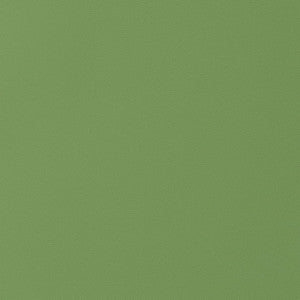Salta Kiwi W9028 by Thibaut Fabric