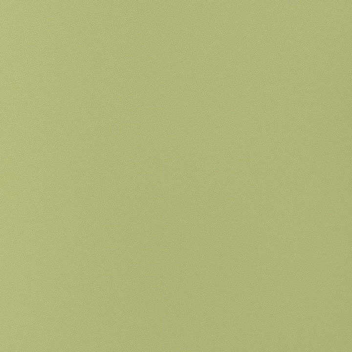 Salta Apple W9029 by Thibaut Fabric Thibaut Fabric Salta Apple W9029Fabric U.S.A </p><p>Repeat: H: , V: 0 (0.00 cm) 54 in  (137.16 cm) - Fabric Carolina -