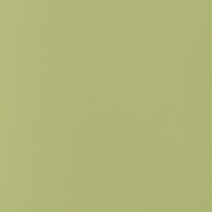 Salta Apple W9029 By Thibaut Fabric