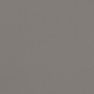 Salta Ash W9033 by Thibaut Fabric