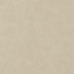 Cabretta Bisque W9038 by Thibaut Fabric