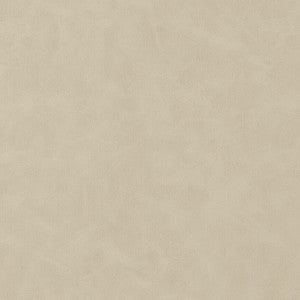 Cabretta Bisque W9038 by Thibaut Fabric