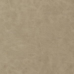 Cabretta Latte W9039 by Thibaut Fabric