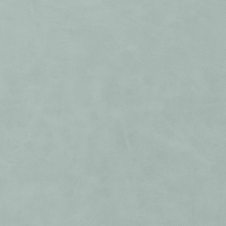 Cabretta Cloud W9042 by Thibaut Fabric Thibaut Fabric Cabretta Cloud W9042Fabric U.S.A </p><p>Repeat: H: , V: 0 (0.00 cm) 54 in  (137.16 cm) - Fabric Carolina -