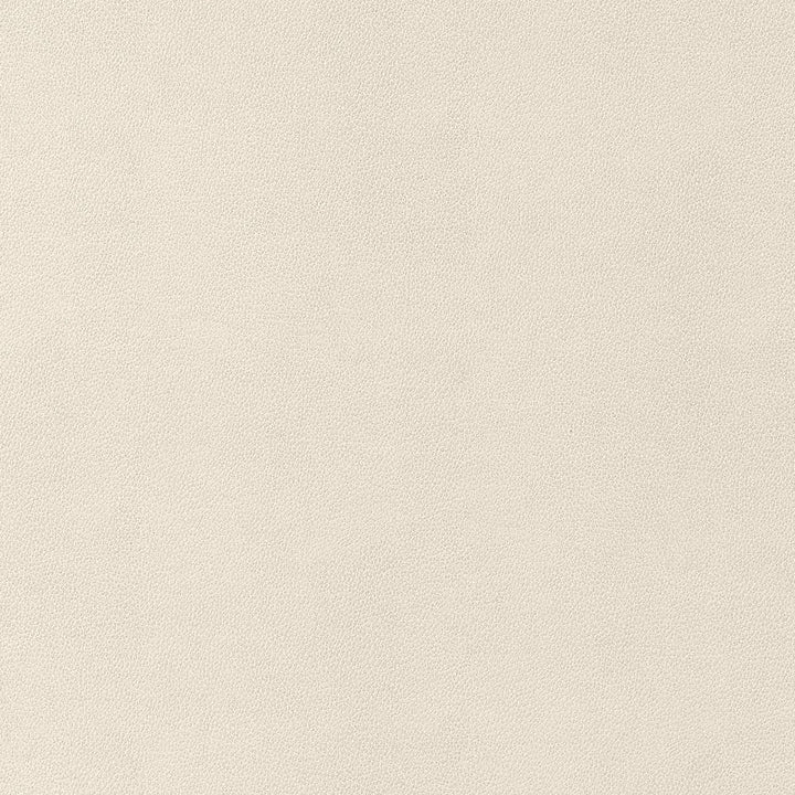 Gaucho Ecru W9049 by Thibaut Fabric Thibaut Fabric Gaucho Ecru W9049Fabric U.S.A </p><p>Repeat: H: , V: 0 (0.00 cm) 54 in  (137.16 cm) - Fabric Carolina -