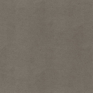 Gaucho Granite W9056 by Thibaut Fabric
