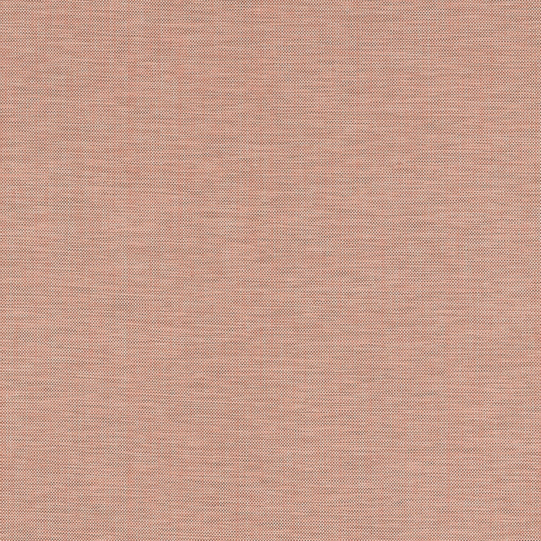 AINSLEY - Cider by Thibaut Fabric