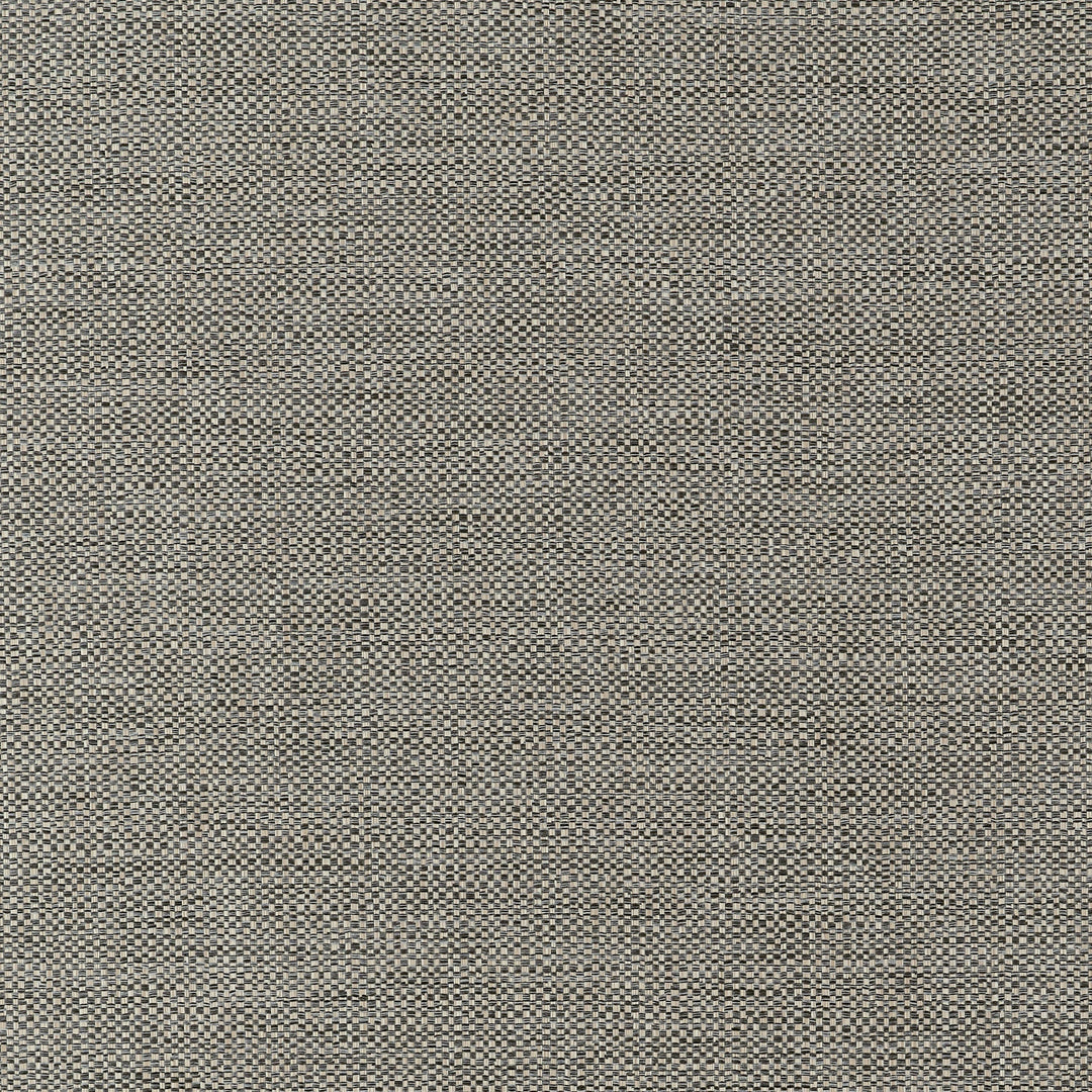 KADEN - Ebony by Thibaut Fabric
