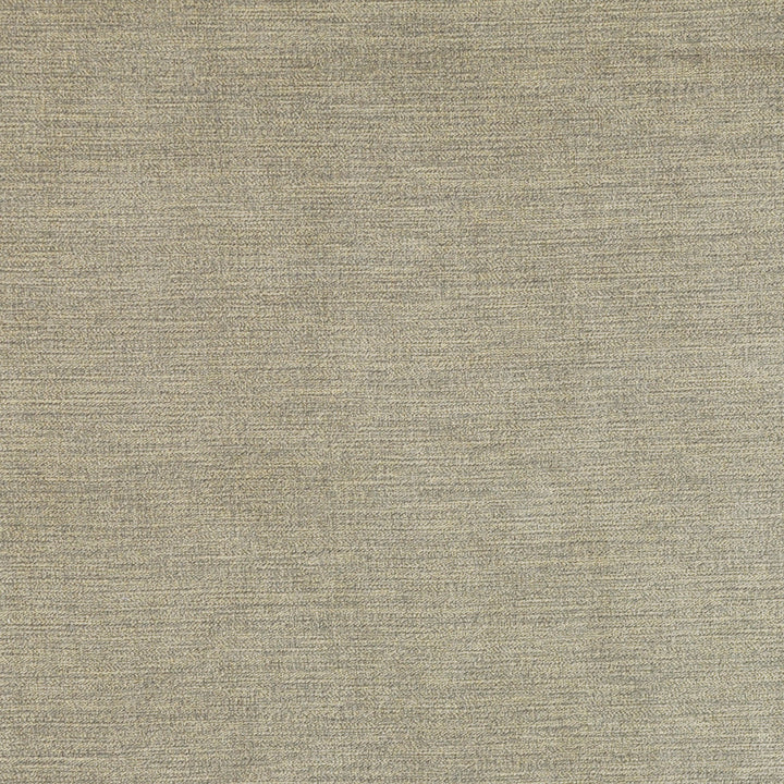 Warmup # 650 Shale by Maxwell Fabric 90% POLYESTER 10% NYLON CHINA </p><p>Repeat: Horizontal: and Vertical: 54" - Fabric Carolina -