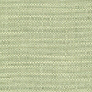 Wade Aloe 51 by Norbar Fabric OKIN 100% POLYESTER NORTH AMERICA 54 - Fabric Carolina -