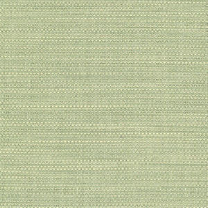 Wade Aloe 51 by Norbar Designer Fabric OKIN 100% POLYESTER NORTH AMERICA 54 - Swanky Fabrics -