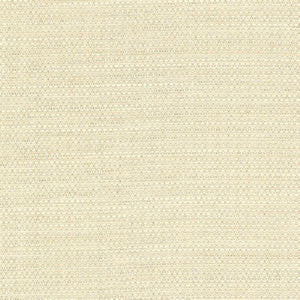 Wade Cotton 14 by Norbar Designer Fabric OKIN 100% POLYESTER NORTH AMERICA 54 - Swanky Fabrics -