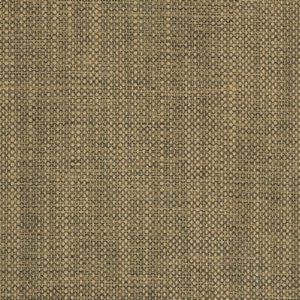 Waldo Midas by Norbar Fabric CORTEZ 100% POLYESTER INDIA 30,000 WYZENBEEK </p><p>Repeat: 54 - Fabric Carolina -