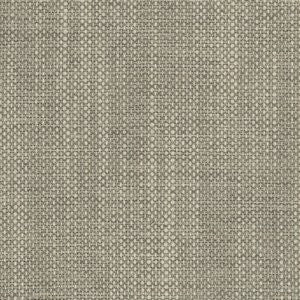 Waldo Pewter by Norbar Fabric CORTEZ 100% POLYESTER INDIA 30,000 WYZENBEEK </p><p>Repeat: 54 - Fabric Carolina -