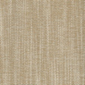 Waldo Straw by Norbar Fabric Color/ORANGE-RUST-CORAL 100% POLYESTER INDIA 30,000 WYZENBEEK 54 - Fabric Carolina -