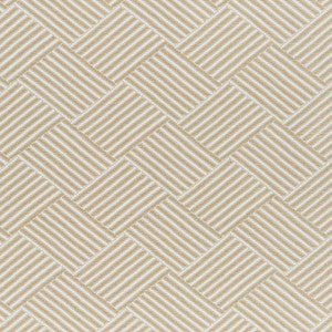 Waldo 31J7721 by JF Crypton Fabric