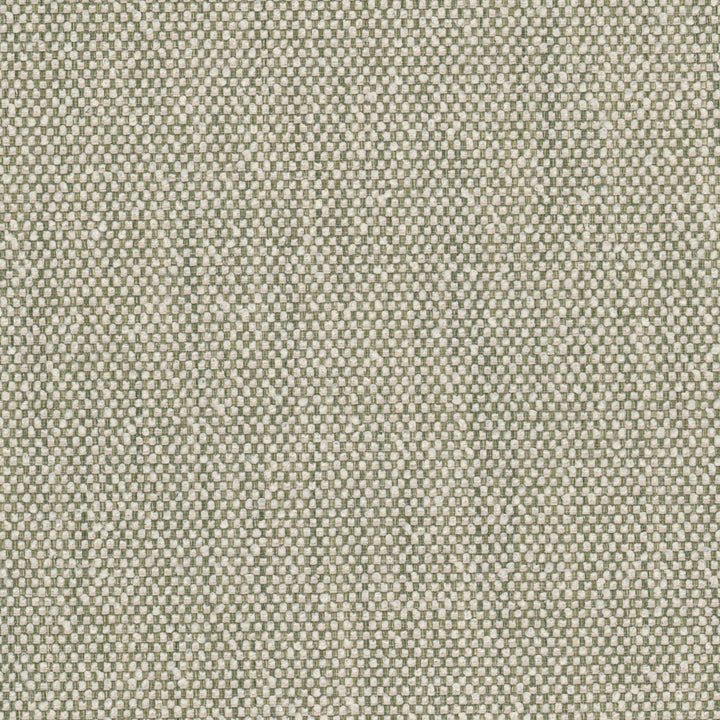 Wampum 1 Grass by Stout Fabric Stout Fabric Wampum 1 GrassFabric Living Is Easy Balsam/Bay 95%Pol 5%Acr China </p><p>Repeat: H: 0, V: 26 54 in - Fabric Carolina -