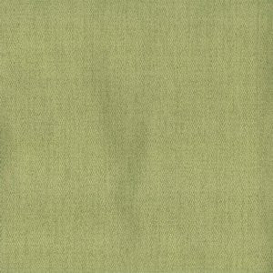 Washburn Kiwi by Norbar Fabric See Sample 100% POLYESTER CHINA 60,000 WYZENBEEK 54 - Fabric Carolina -