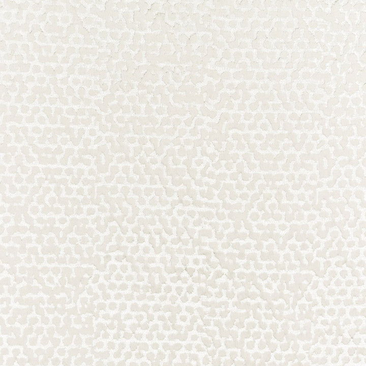Wasola 1 Parchment by Stout Fabric Stout Fabric Wasola 1 ParchmentFabric COLOR MY WINDOW CHALK/TAUPE INDIA </p><p>Repeat: H: 9.250, V: 20.000 55 in - Fabric Carolina -