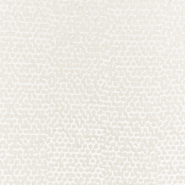 Wasola 1 Parchment by Stout Fabric COLOR MY WINDOW CHALK/TAUPE 100%POL INDIA </p><p>Repeat: 20 55 in - Fabric Carolina -