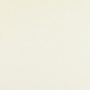 Winter Sky # 0827 Snow by Maxwell Fabric