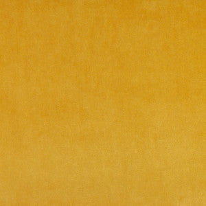 Winter Sky # 151 Goldfinch by Maxwell Fabric