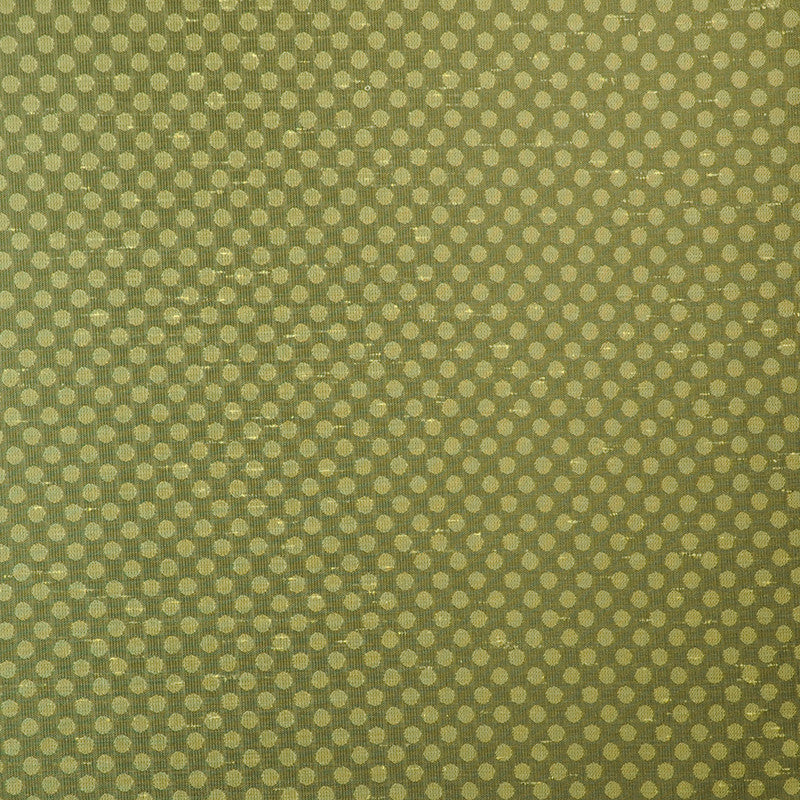 Winner'S Circle # 570 Guacamole by Maxwell Fabric PEAK PERFORMANCE 100% POLYESTER INDIA </p><p>Repeat: Horizontal: H-0.6 and Vertical: V-0.6 54" - Fabric Carolina -