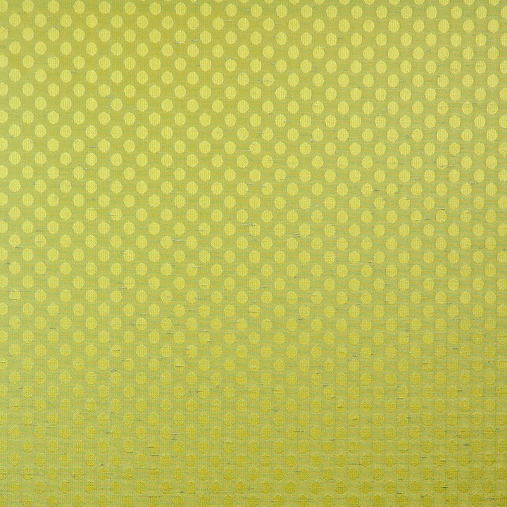 Winner'S Circle # 575 Aloe by Maxwell Fabric PEAK PERFORMANCE 100% POLYESTER INDIA </p><p>Repeat: Horizontal: H-0.6 and Vertical: V-0.6 54" - Fabric Carolina -