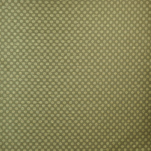 Winner'S Circle # 635 Beryl by Maxwell Fabric
