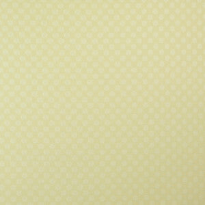 Winner'S Circle # 745 Champagne by Maxwell Fabric