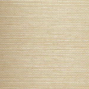 Plain Grounds 0 WBG5101.WT.0 by Winfield Thybony Wallcovering