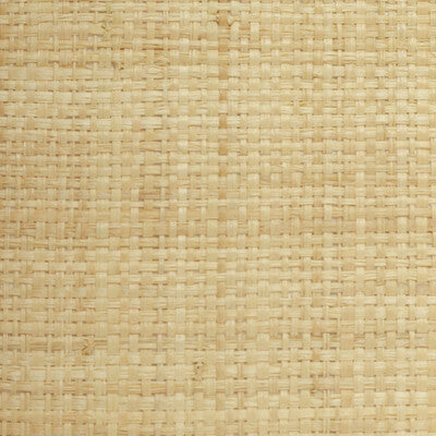 WBG5120.WT.0 by Winfield Thybony Wallcovering Winfield Thybony Wallcovering WBG5120.WT.0Wallcovering WINFIELD THYBONY BARCLAY BUTERA PLAINS SISAL - 100% United States </p><p>Repeat: H: 6.8, V: 7 36 - Fabric Carolina -