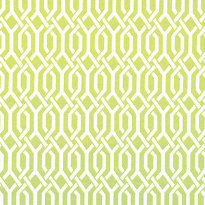 Wired # 366 Lemongrass by Maxwell Fabric